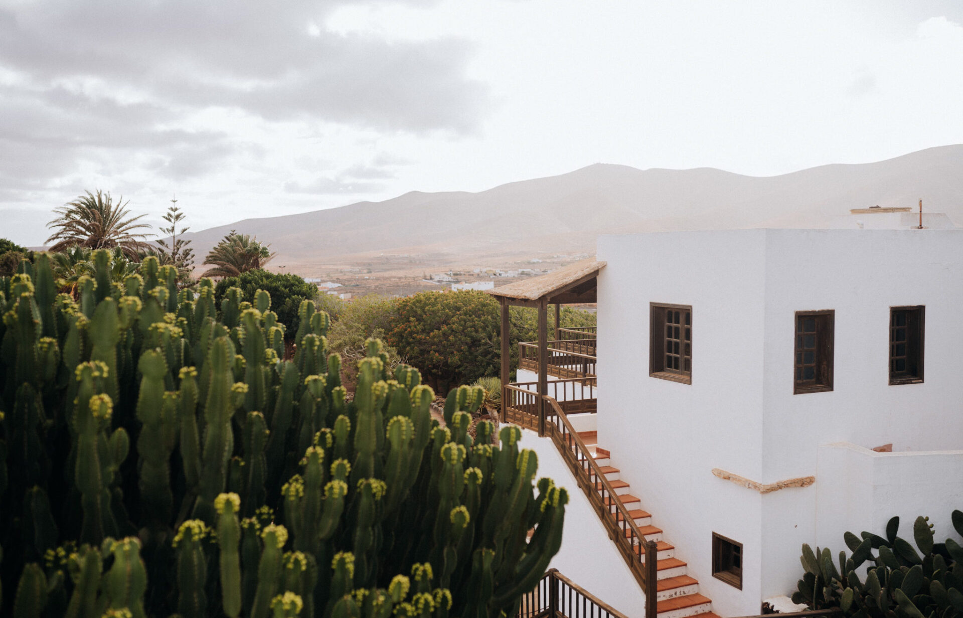 Besuch im Käsemuseum Reisetipps für Fuerteventura
