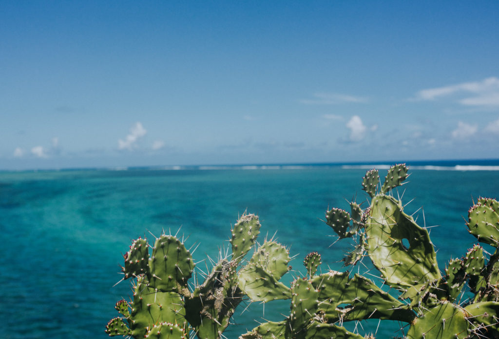 Atemberaubender Ausblick vom Maconde Viewpoint auf das blaue Meer