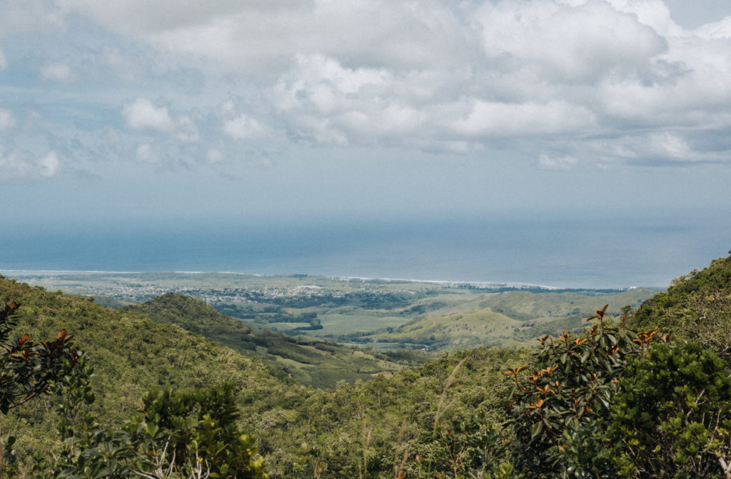 Weitblick über die Schluchten im Black River Gorges Nationalpark auf Mauritius