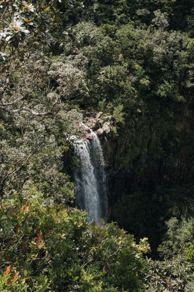 Wasserfall stark fliessend im National Park Mauritius