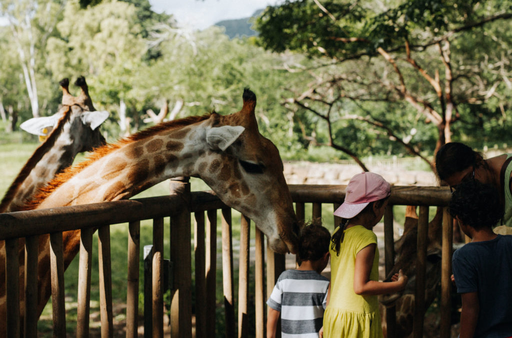 Tierische Abenteuer im Casela Park – perfekt für Familien