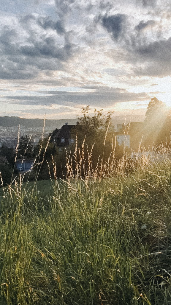 Zürich Geheimtipps Sonnenuntergang am Seilbahn Rigiblick