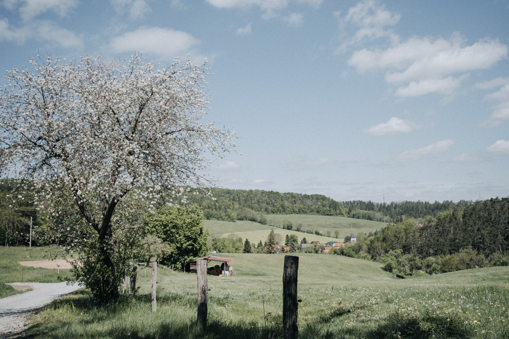 Blick vom Goethe-Erlebnisweg auf das Dorf Buchfart im Frühling