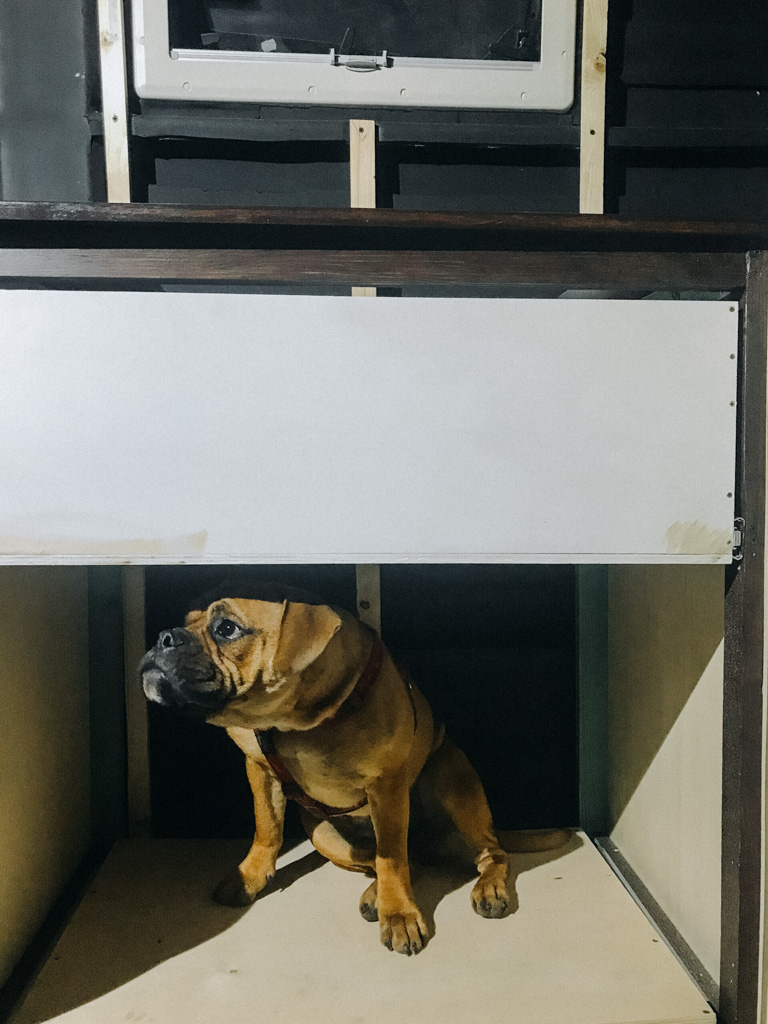 Hund Continental Bulldog sitzt in der Camper Küche