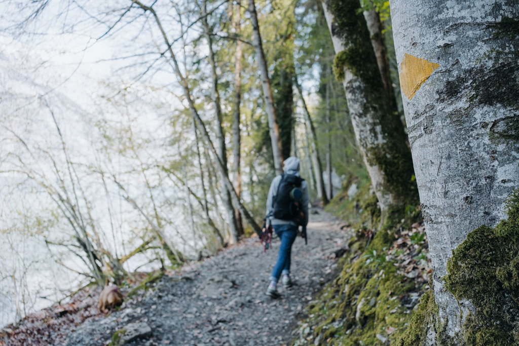 wandern mit Hund auf einem gelb markierten Wanderweg im Berner Oberland am Brienzersee