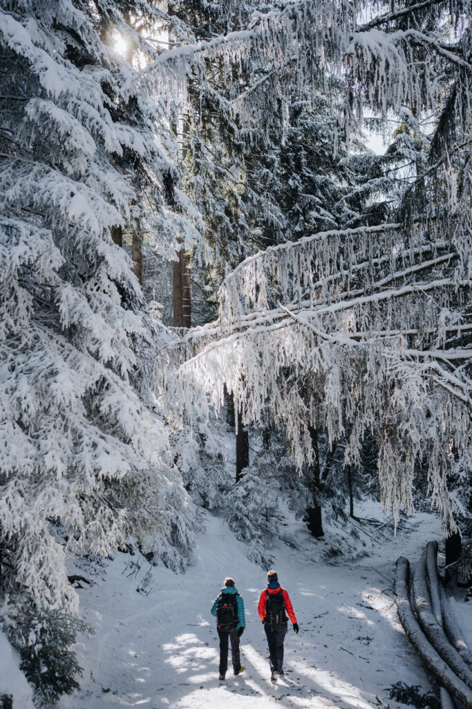 zwei Frauen laufen mit ihren rot und blau leuchtenden Jacken durch den schneebedeckten Winterwald