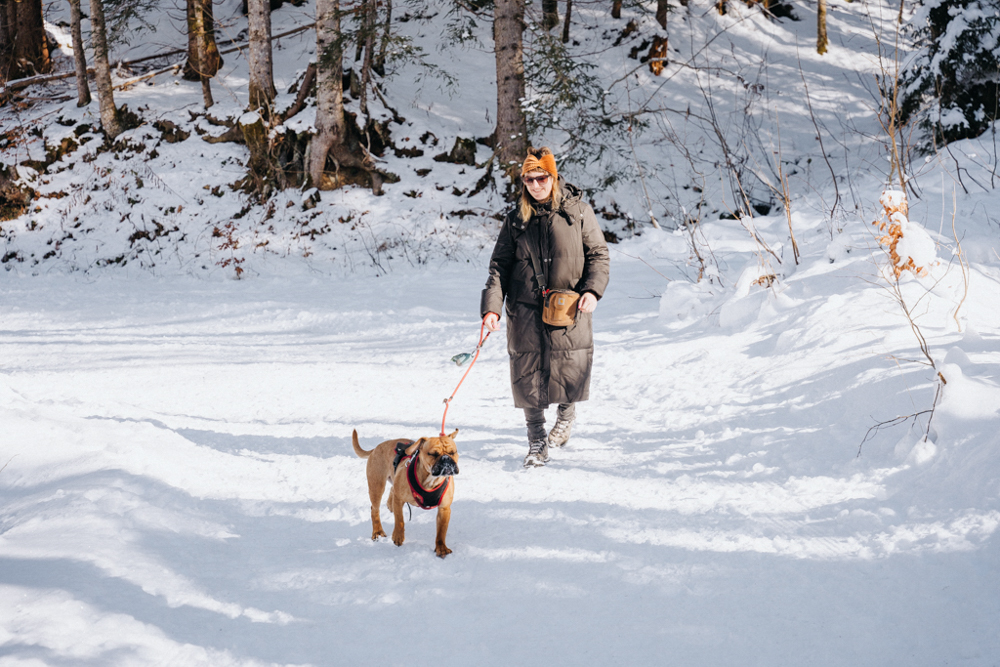 Winterwandern mit Hund im Bregenzerwald, verschneiter Weg und Wald