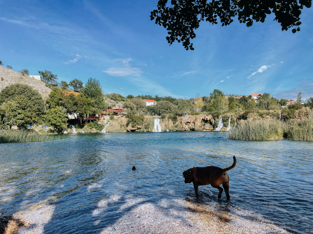 wanderung mit hund in Kroatien, Pause am See mit Wasserfällen im Hintergrund