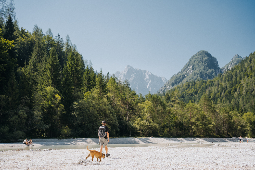 wandern mit hund in Kranjska Gora, entspannte Wege und grüne Berglandschaft Slowenien
