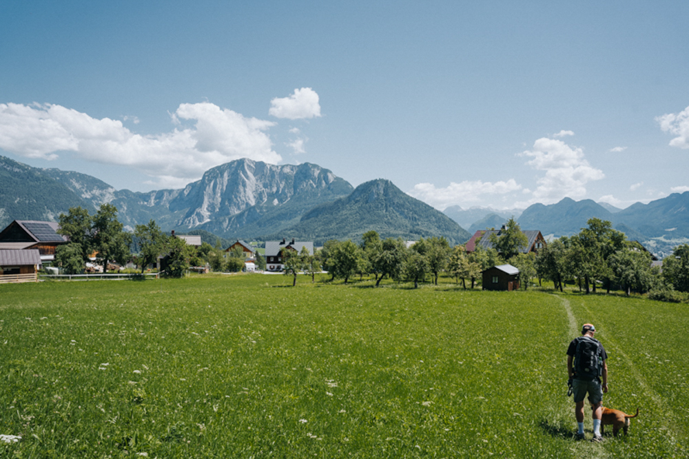 wanderung mit hund im Ausseerland, sommerliche Bergwanderung in Österreich mit Panorama