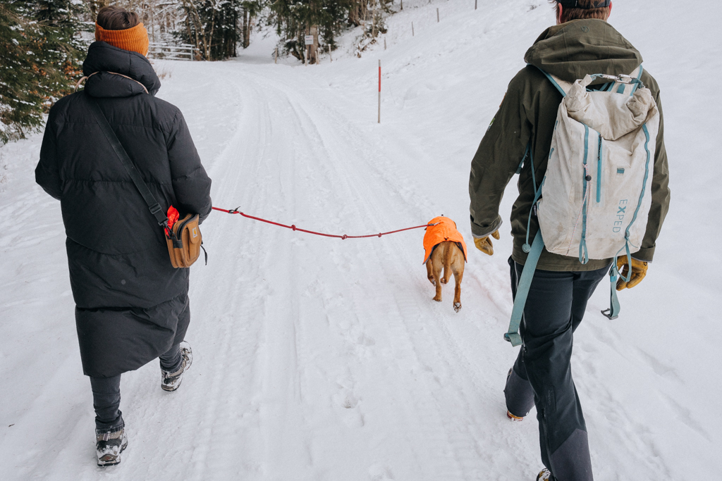 eine Frau, ein Mann und ein Hund laufen durch die Nagelfluhkette während einer Winterwanderung in der Nähe von Hittisau