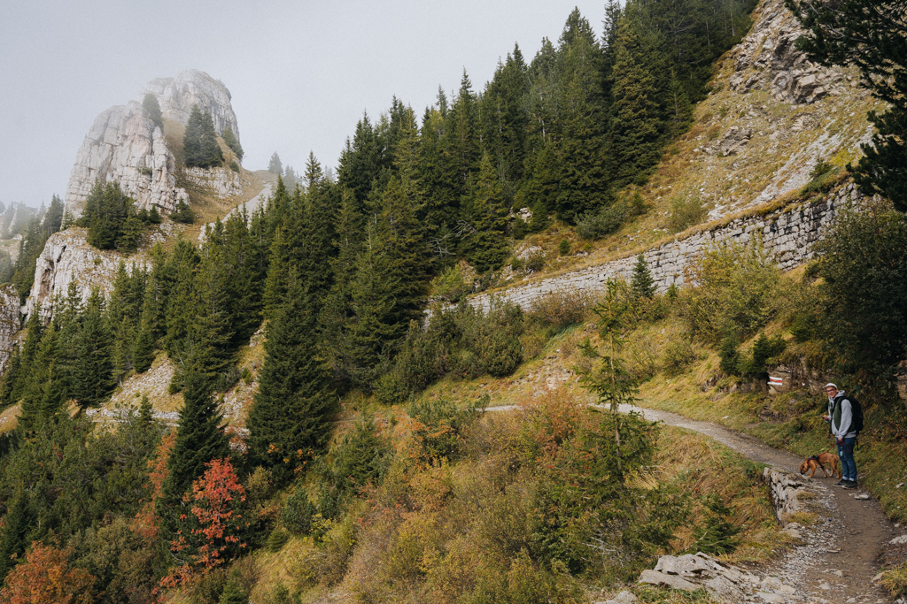 Der schmale Weg der Wanderung auf der Schynige Platte in Richtung Daube Aussichtspunkt, rechts ist ein Mann mit einem Hund an der Leine zu sehen, im Oktober haben sich einige Blätter zu rot gefärbt