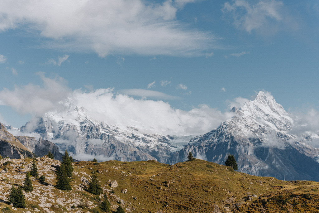 Schweiz Geheimtipp Schynige Platte mit Aussicht auf Eiger, Mönch, Jungfrau und Kleines Schreckhorn, Schreckhorn und Mittelhorn von dem Panoramaweg auf der Schynige Platte