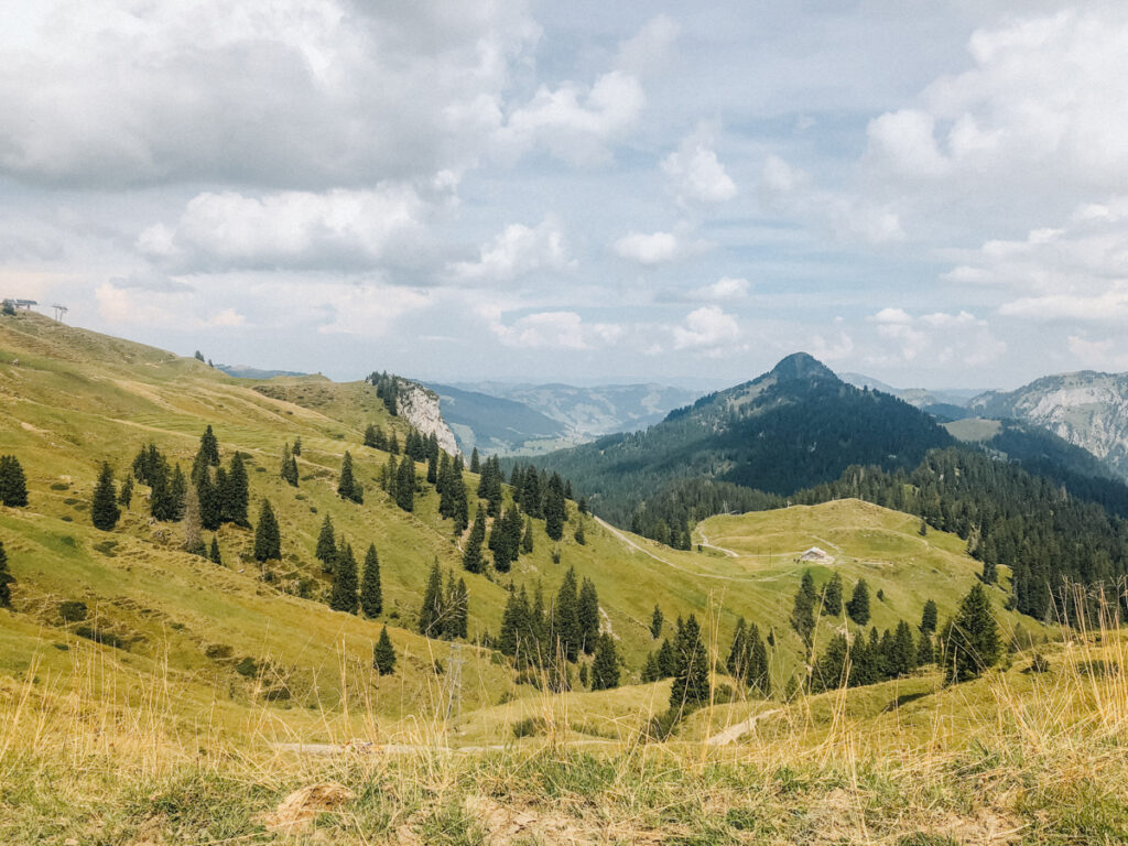 Wanderweg ab Ibergeregg durch Tannenwälder