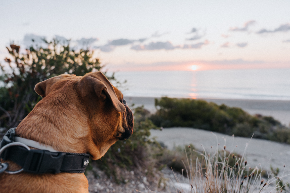 Frau Maier auf Lefkada – Sonnenuntergang am Meer mit weichem Gegenlicht