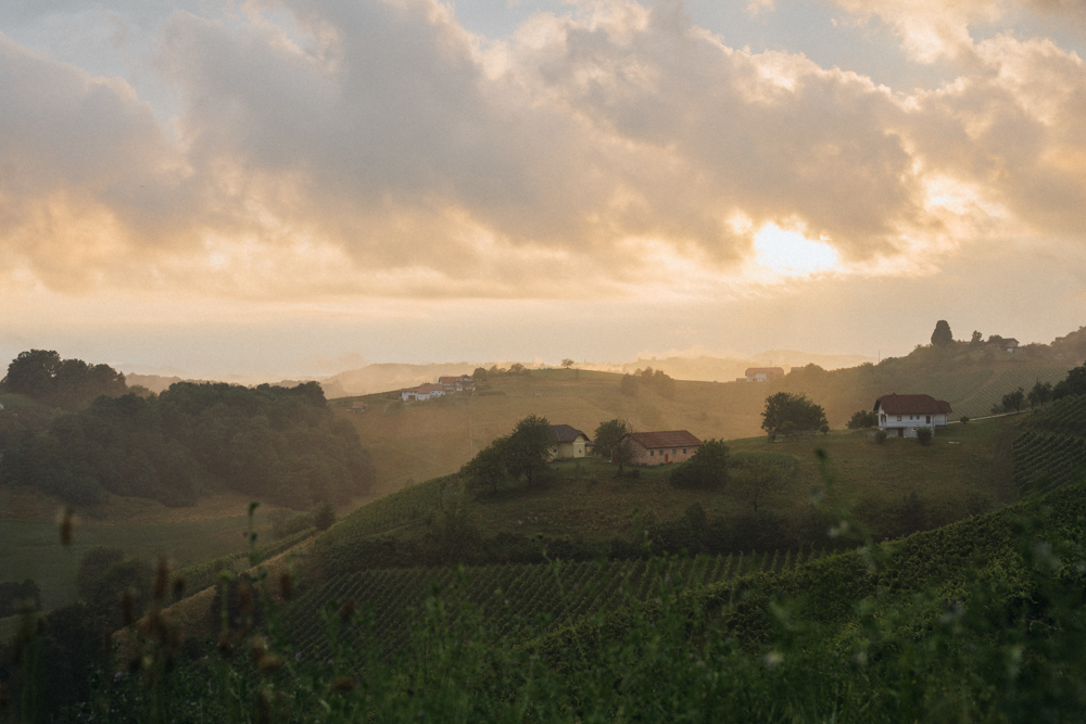 Nach dem Gewitter in Maribor – Sonnenuntergang über Weingut im warmen Gegenlicht