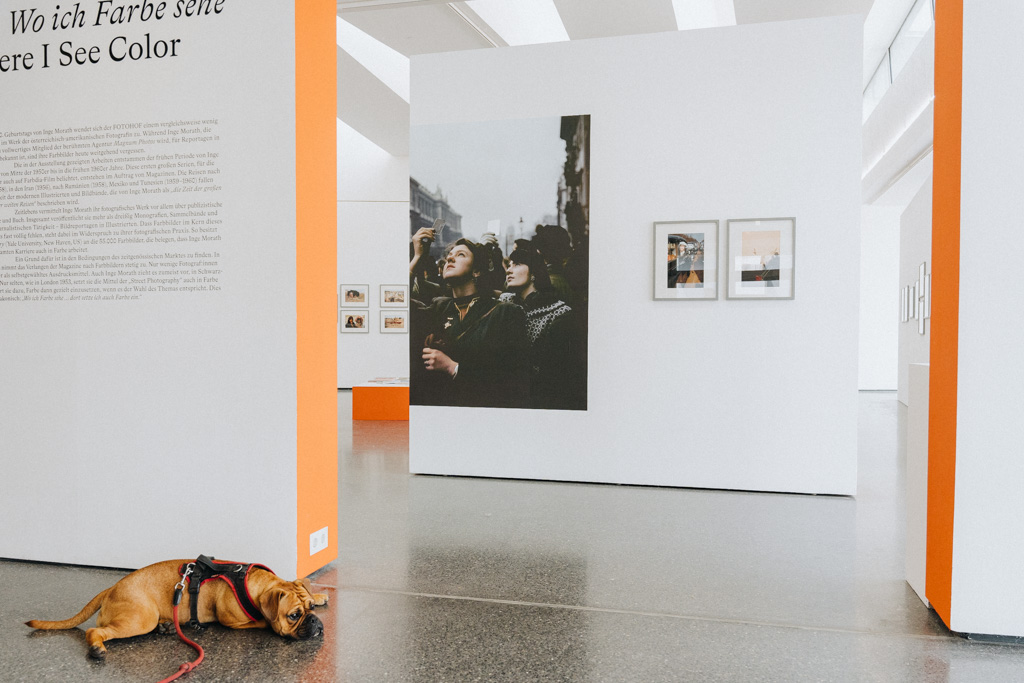 Fotohof gratis Eintritt und Salzburg mit Hund entdecken
