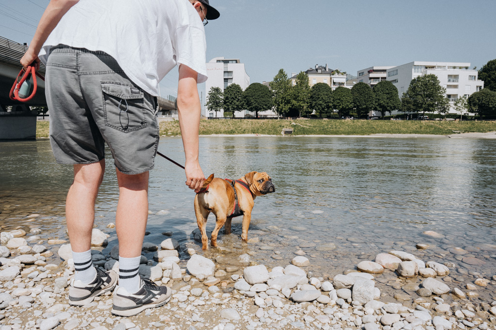 Salzburg Tipps mit Hund entdecken und entlang der Salzach abkühlen