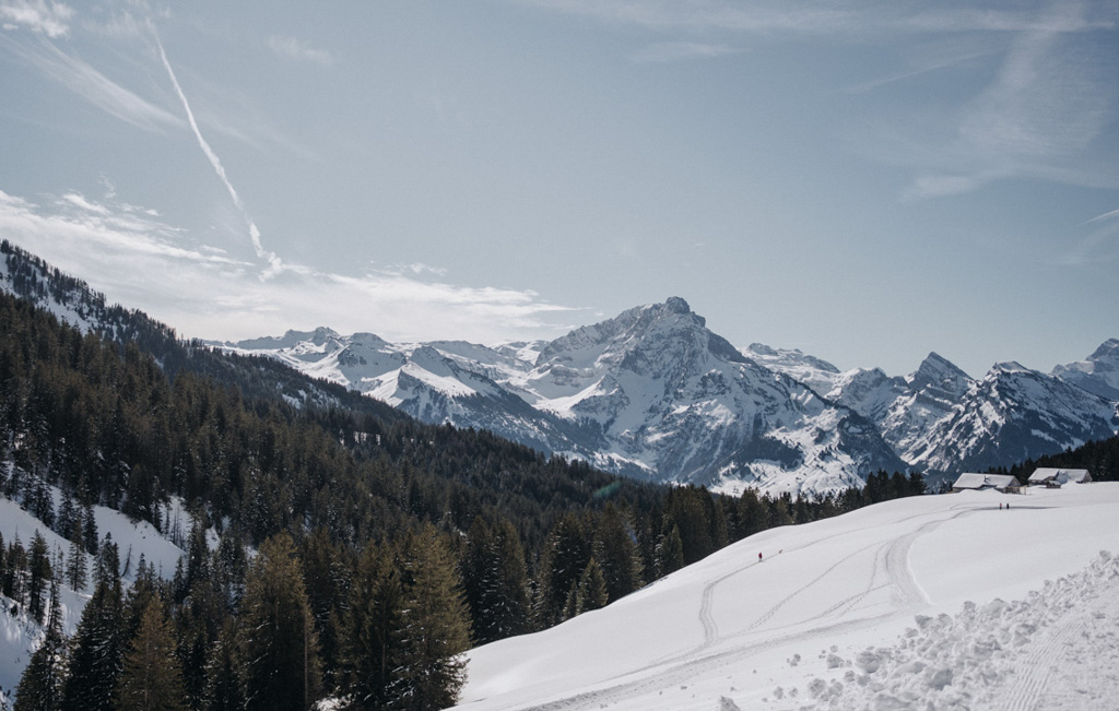 Sonnige Winterwanderung auf dem Vorder-Höhi-Weg mit den Schweizer Alpen im Hintergrund