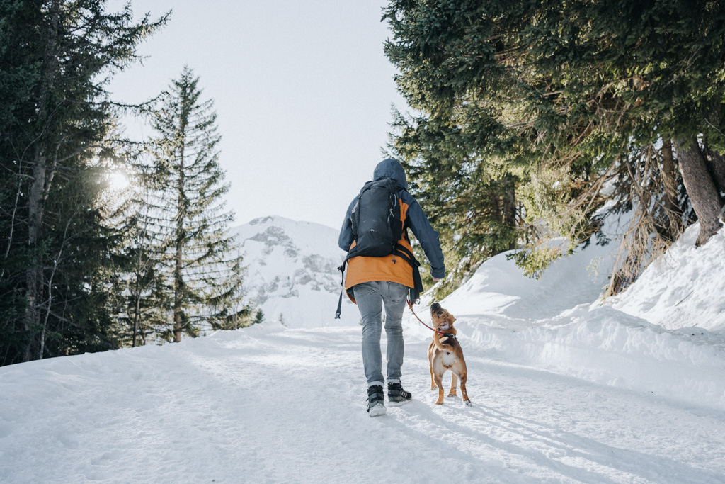 Winterwandern in der Schweiz mit Hund in Obwalden auf dem Wanderweg von Turren nach Breitfeld im Winter