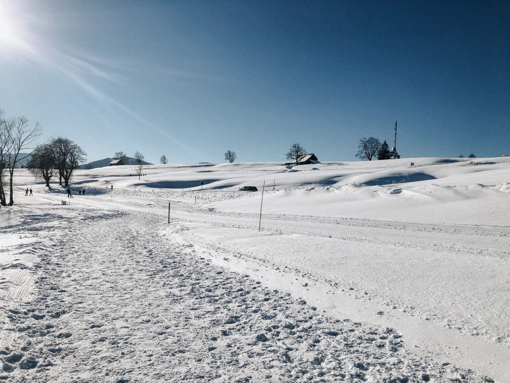 Winterwanderung in Einsiedeln mit ganz viel Schnee und Blick auf die Langlauf Loipe im Kanton Zürich