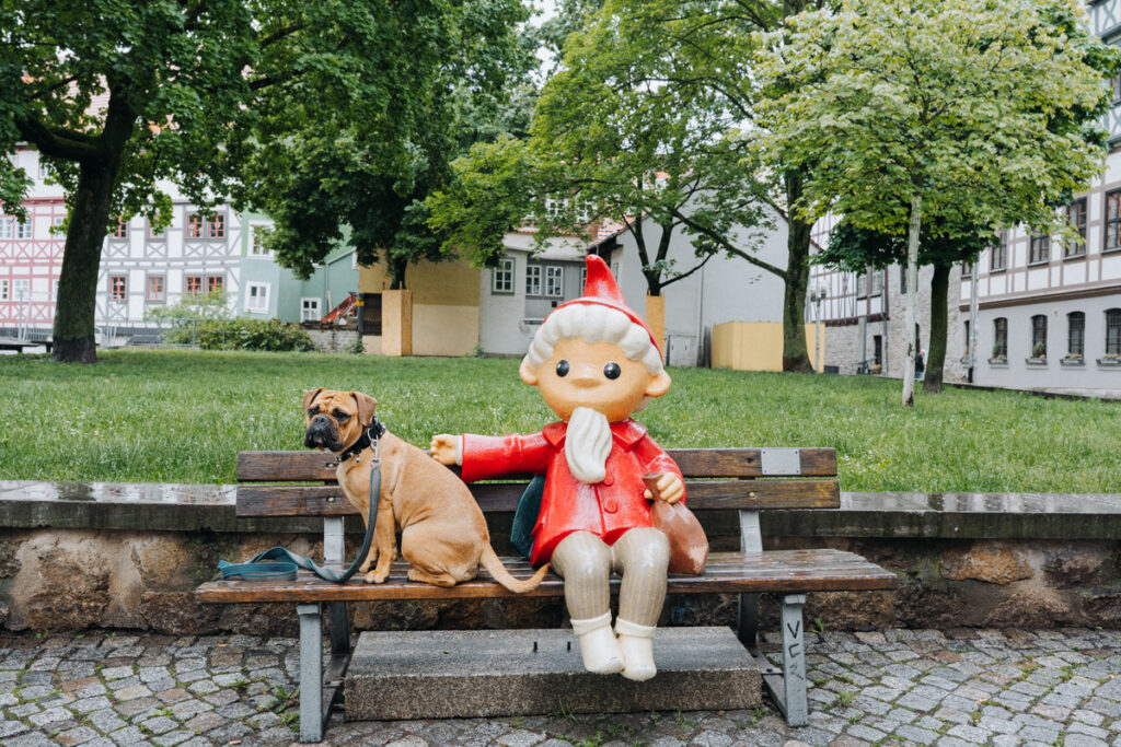 Frau Maier (Continental Bulldog) sitzt in Erfurt neben der bekannten Figur dem Sandmännchen