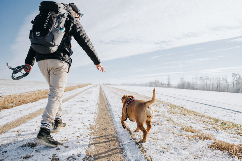 Wanderweg entlang am Thüringer Meer – beliebtes Ausflugsziel in Thüringen