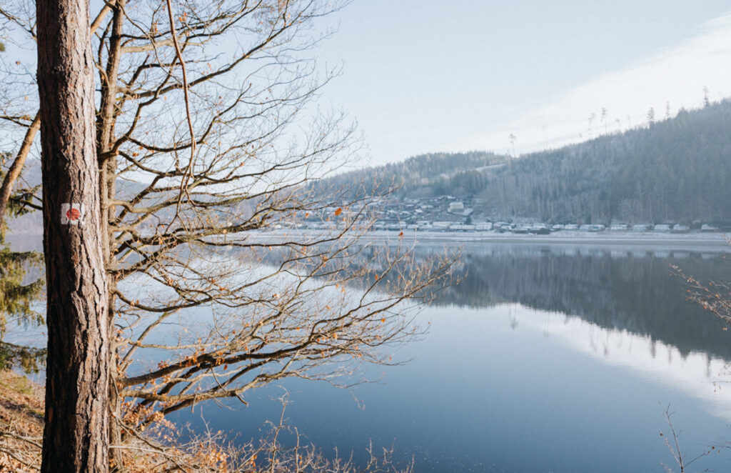 Naturparadies Thüringer Meer – Wandertour mit Panoramablick