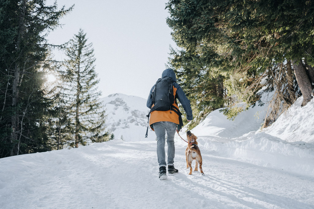 Urlaub mit Hund in der Schweiz im Winter beim Winterwandern im Gebiet bei Lungern mit der Lungern Turren Bahn
