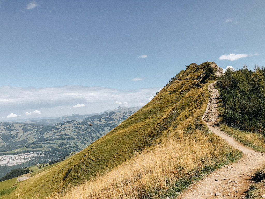 Blick zurück auf einer der schönsten Wanderungen der Schweiz ist der Gratwanderweg in Schwyz auf dem Fronalpstock
