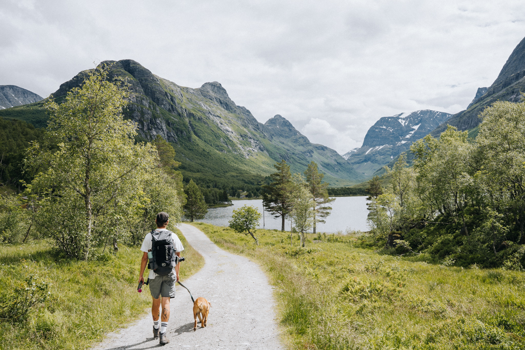 Wanderer mit Hund auf einem Panoramaweg in den Bergen Norwegens – authentische Outdoor-Fotografie für Tourismus