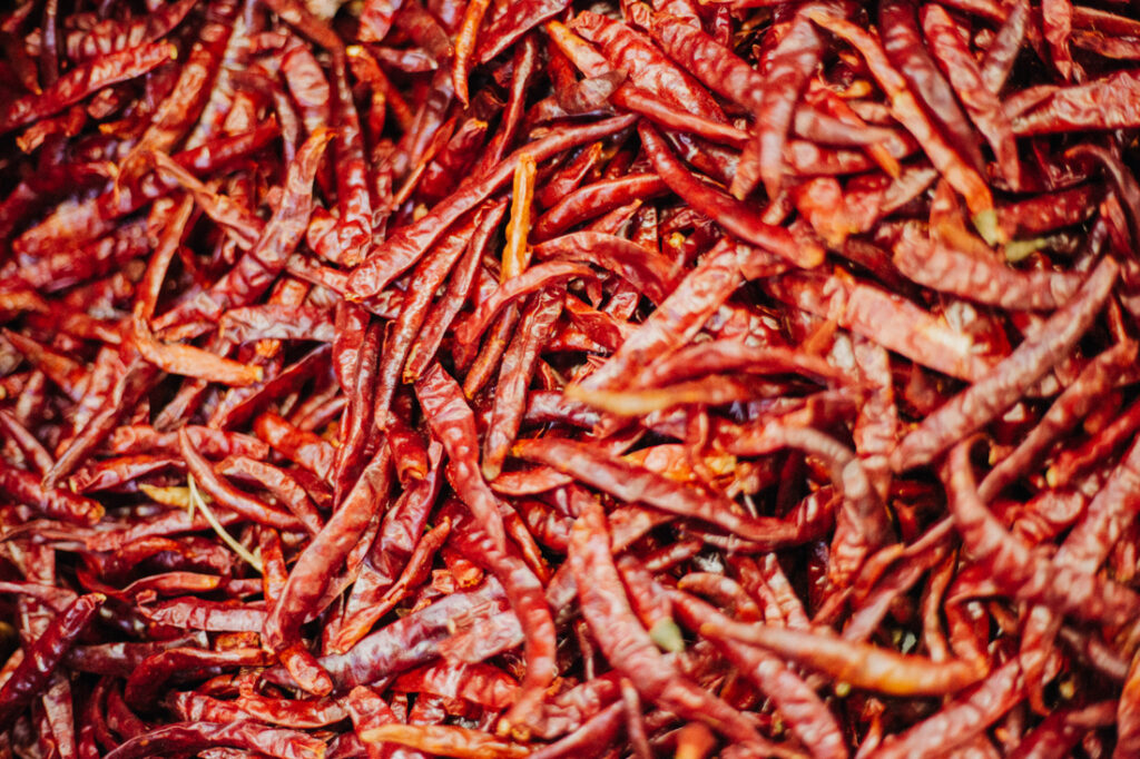 Frische rote Chili Schoten in Thailand, für scharfes Essen