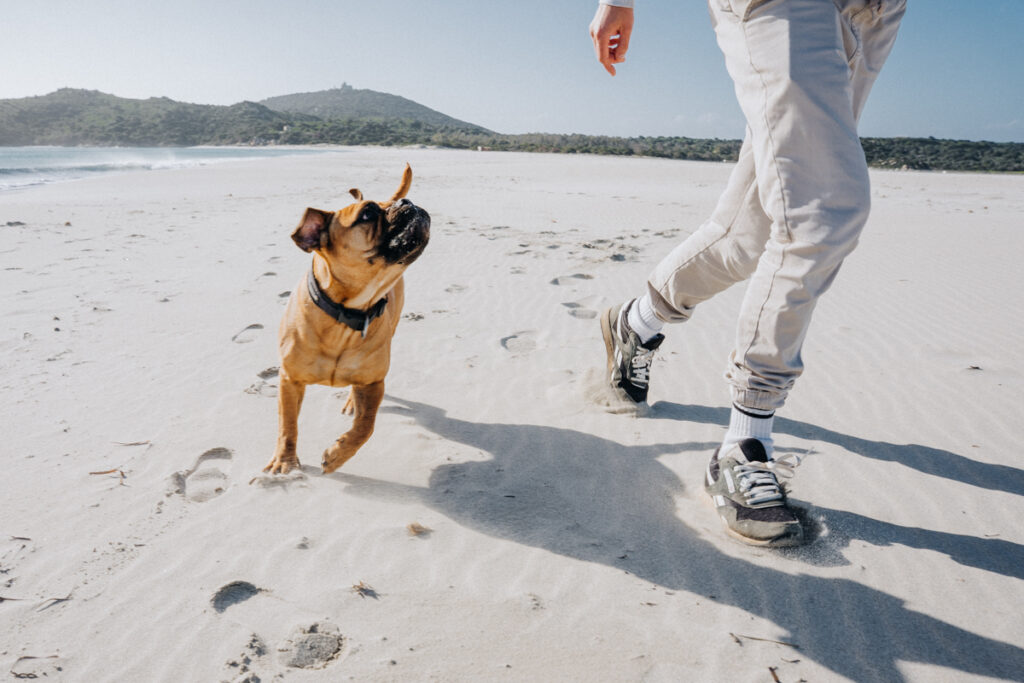 Dominic und Frau Maier am Strand von Villasimius bei der Sardinien Rundreise mit Hund