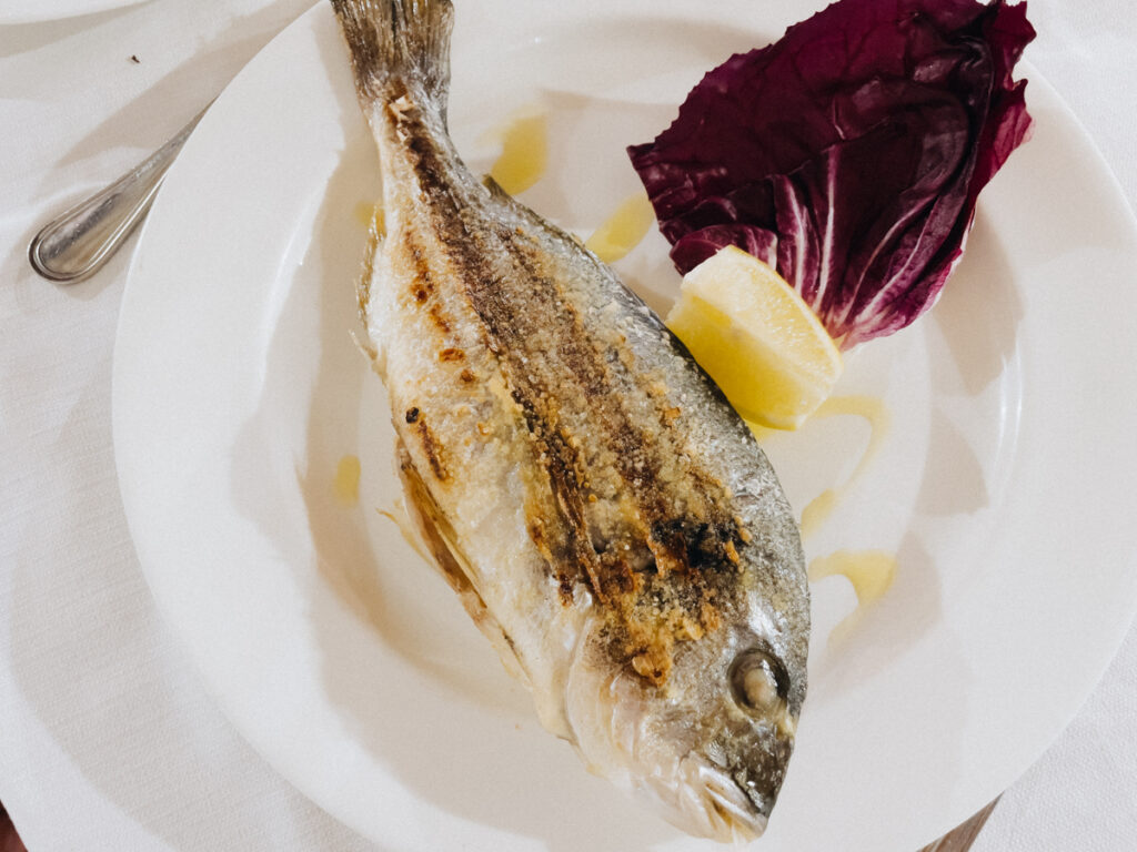 Frischer Fisch im Marina Giò in Porto Tramatzu