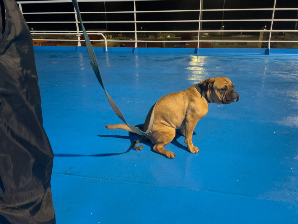 Frau Maier auf dem Fährdeck beim Lösen auf der Fähre Grimaldi Lines