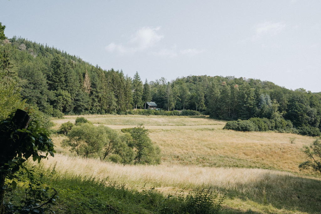 Achtsamkeitspfad Kleine Kyll in Manderscheid: Wandern in der Vulkaneifel mit allen Sinnen