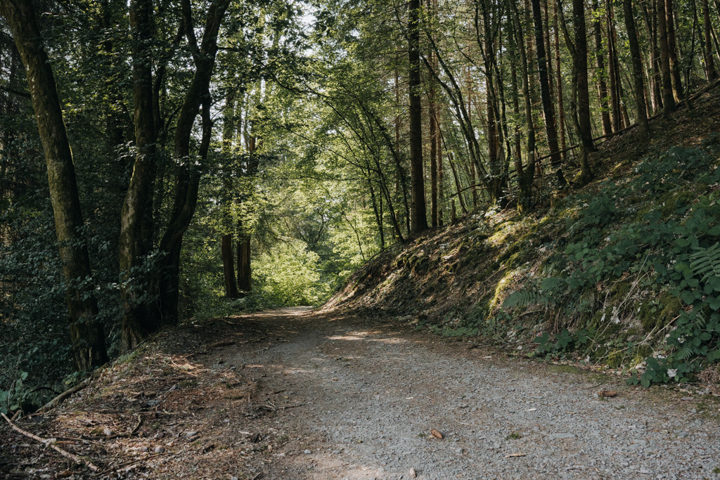 Geführte Wanderung auf dem Achtsamkeitspfad Kleine Kyll: Natur erleben in der Vulkaneifel